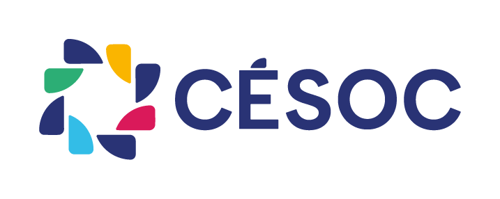 Partenaire Logo